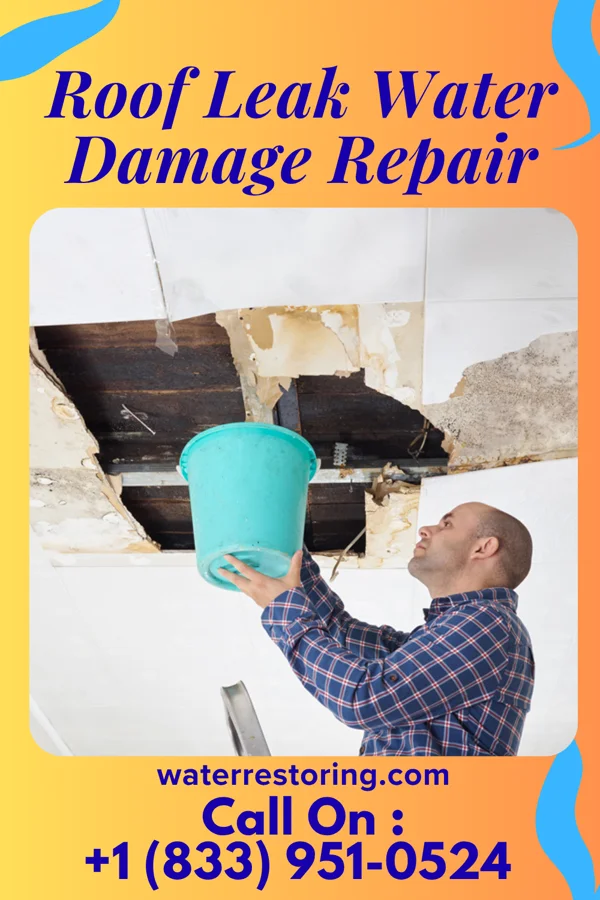 Roof Leak Water Damage Repair in Collegedale, TN